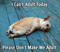 4611a8dc193f5418a638b05423e231df